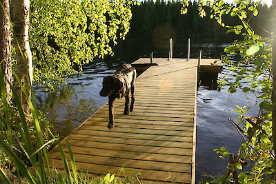 Sauna 1 (Ahti) 4,8 m muoviponttoonilaituri, webshopProducts - 